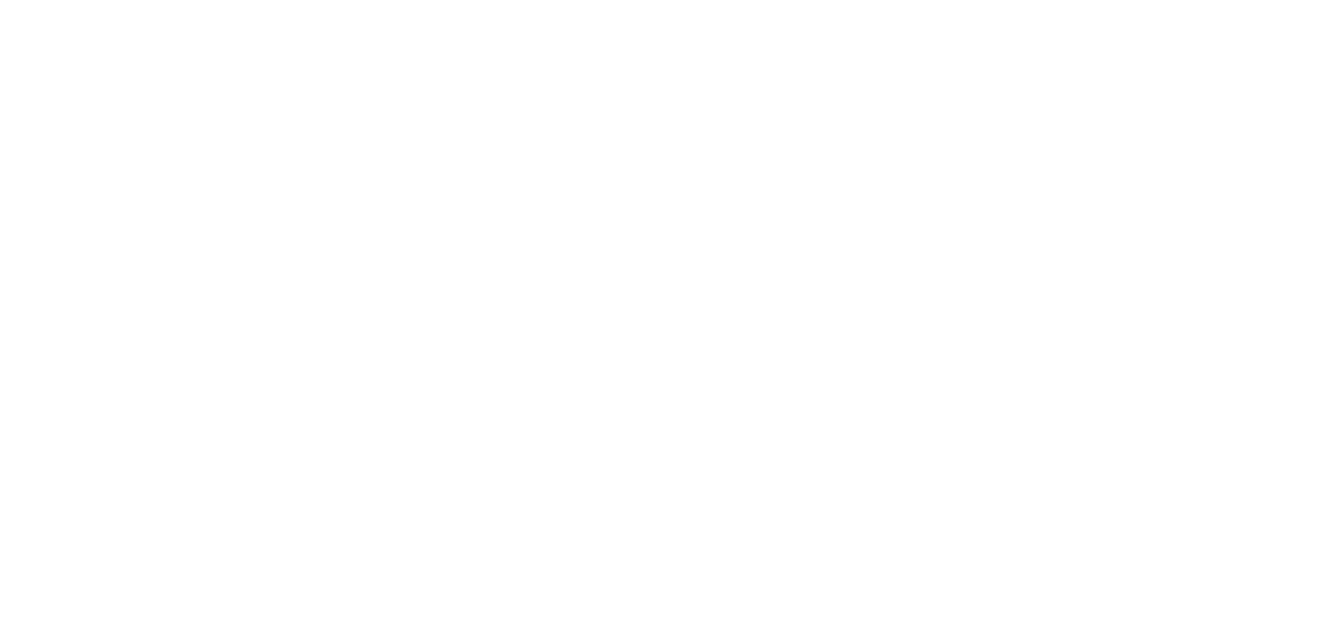 Full logo white 1